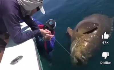 Do it for the gram💀