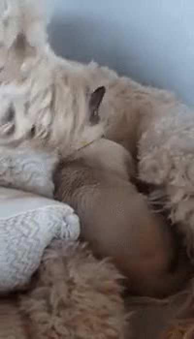 This is my new spot.