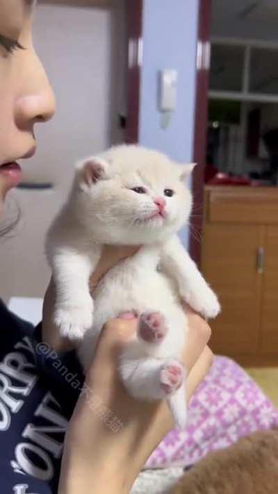 No mom!!! Please stop 🥲