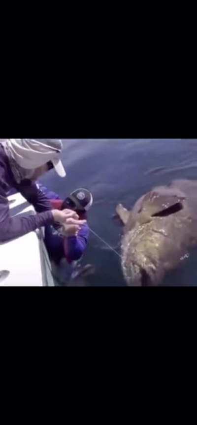 Was not expecting that