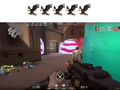 🦅🦅🦅🦅🦅🦅🦅🦅🦅