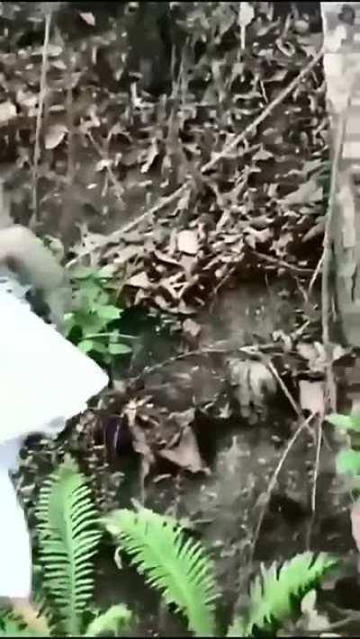 Sloth wave of thanks :)