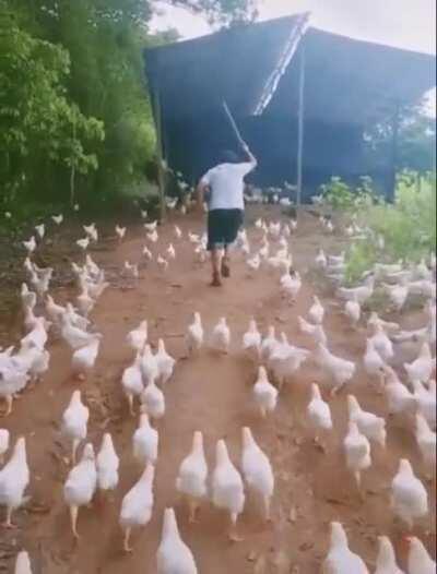 Carlos, Lord of Peckers