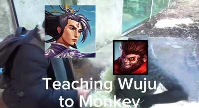 Don't question the master