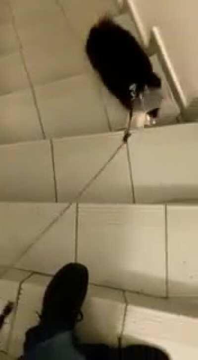 ..To go uo the stairs