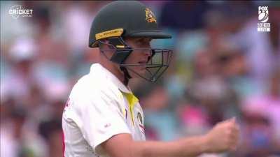 What is marnus doing here?