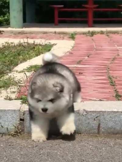 To go down a single step