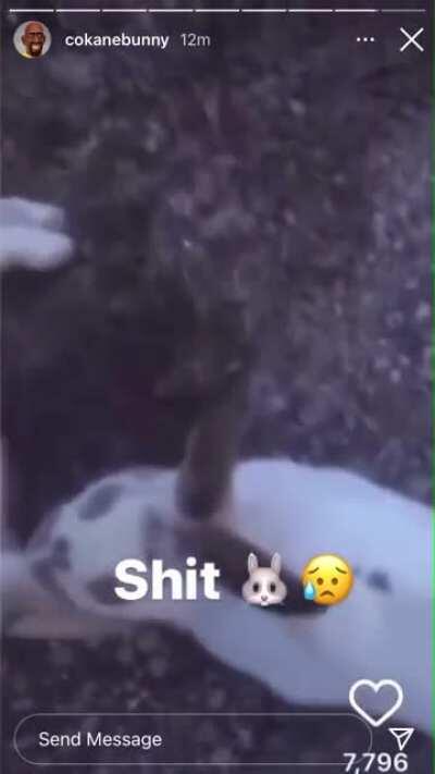 Ride or die shit 😭