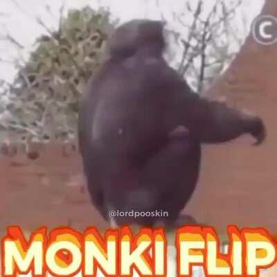 Heard oompa liked monkey memes