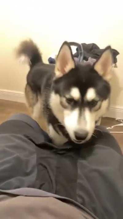 What’s this? Takes bite 🤣