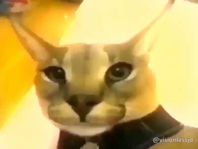 ITS FLOPPA FRIDAY BITCHES!