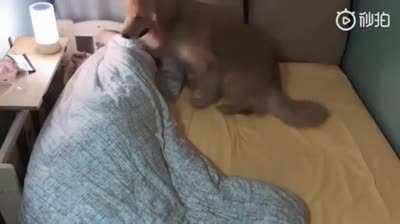 Doesn’t matter how big the bed is, the problem will be the same.