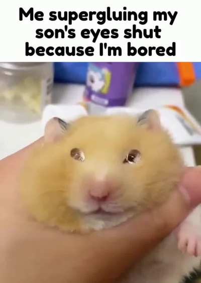 wunk has lost his vision privileges