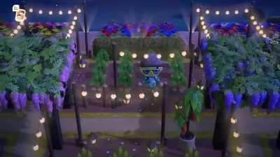 New garden is coming along nicely