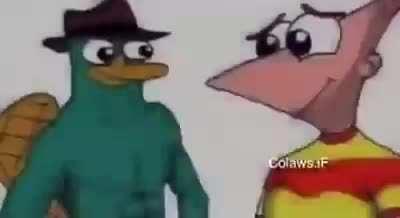 Perry the platypus making me feel things