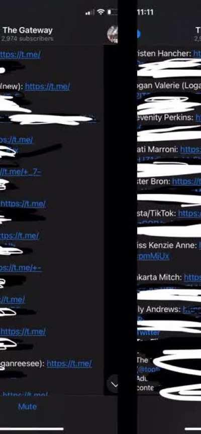 GET ALL THESE TELES🔥🔥+ more for $15‼️‼️DM ME FOR VOUCHES AND PROOF‼️