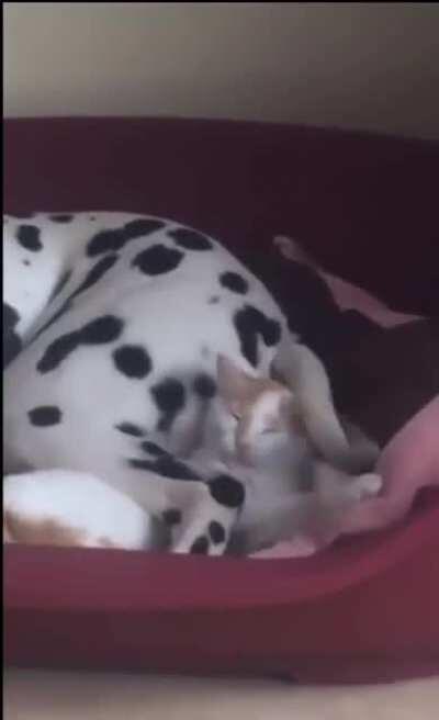 There is no way out of the situation