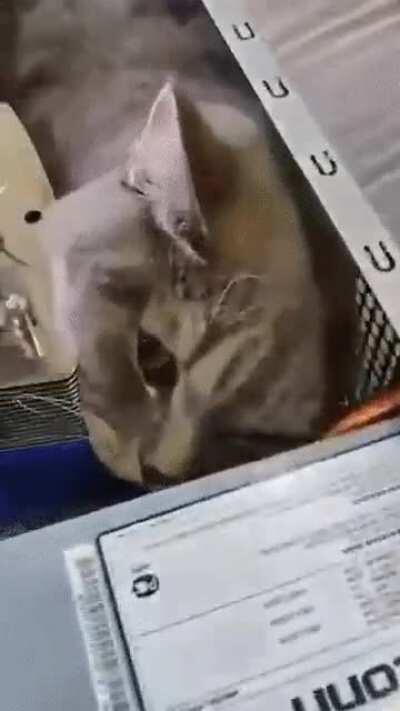 Макропроцессор