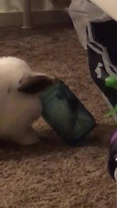 He really loves apple juice 🧃