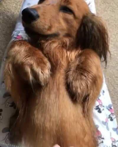 Grooming Time After Bath