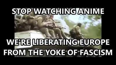 Just an anime girl here