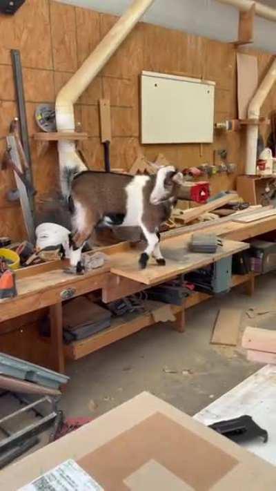 learning a lesson the hard way