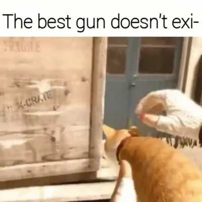 Kitty kitty bang bang