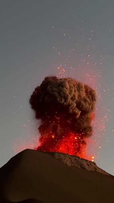 The craziest thing you’ll ever see in your life