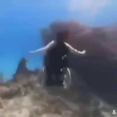 Charlie on his way to welcome his chat