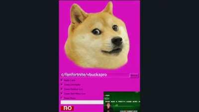 i used doge.exe but i cant install what