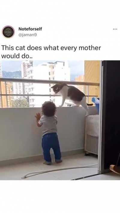 Cat acts like a mother to this kid