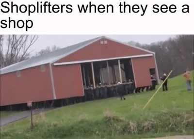 just doing what i was born to do