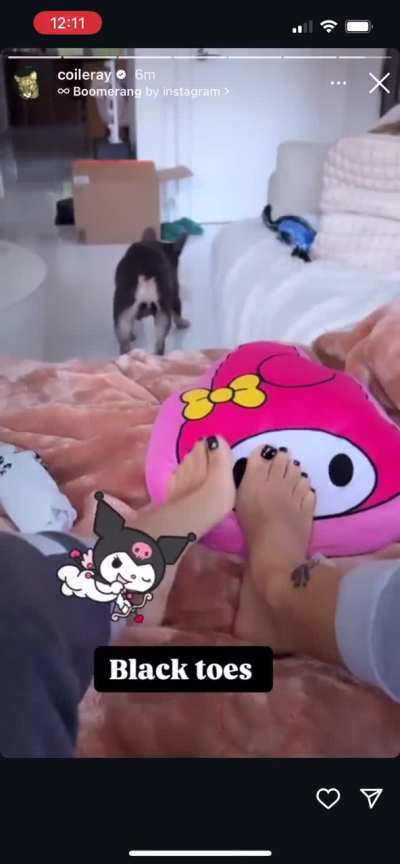 TOES + TWERK Coi leray Story