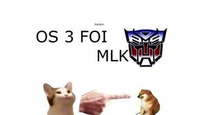 melhor video da minha casa