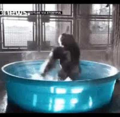 When you wake up 2 marrow and see your Doge at .72cents..... HoDL