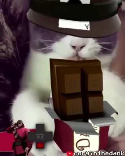 tf2 cat