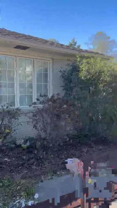 Tesla drives through house on NYE