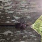 Theres always someone having a worst day than you today