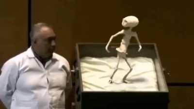 That a new hip is transformative for the patients well being!