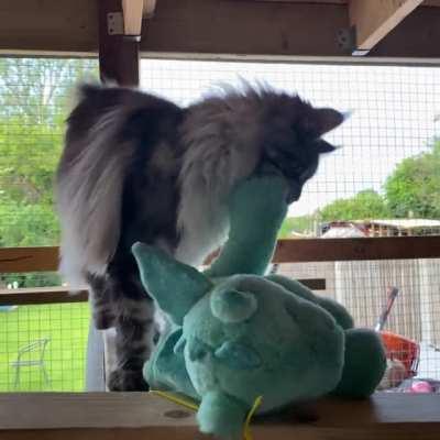 She is very happy with her new toy