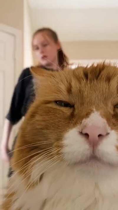 I'm so embarrassed I might just take a nap