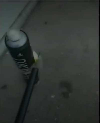 Firebombing a school for fun.