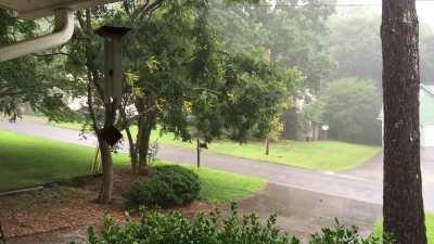 A little bit of Cristobal