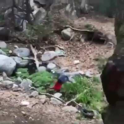 CJ, are you OK? (spoiler: no)