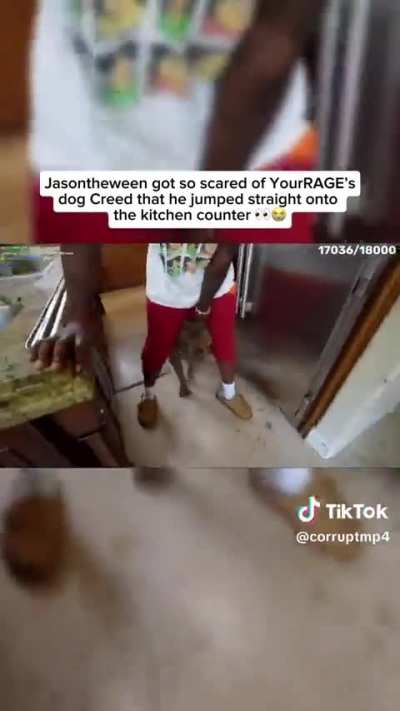🤣