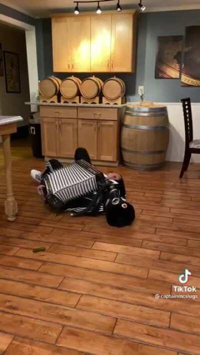 The Accordian strikes again!