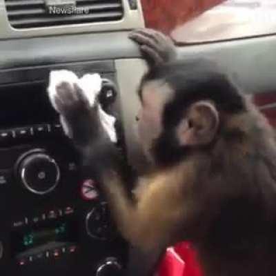 Everything is better in a company