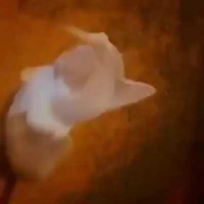 the infinite knowledge of the universe