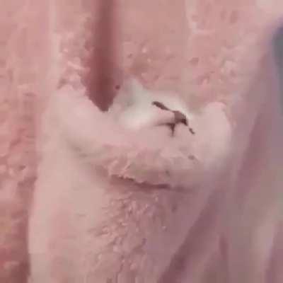 MRW im banished to my room