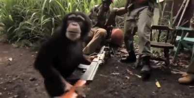 The uprising begins!